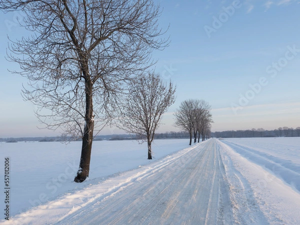 Obraz winter landscape with trees