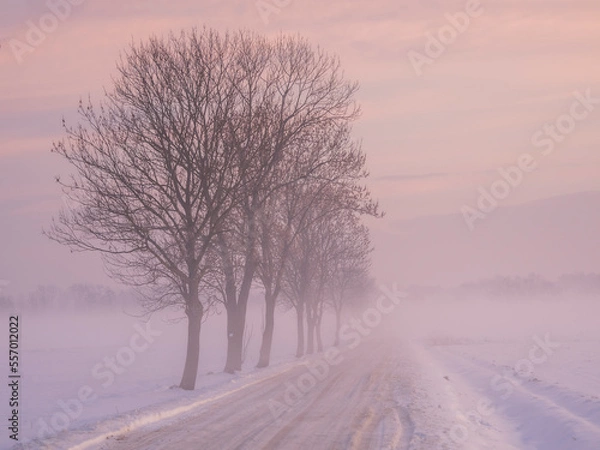 Obraz winter road in the fog