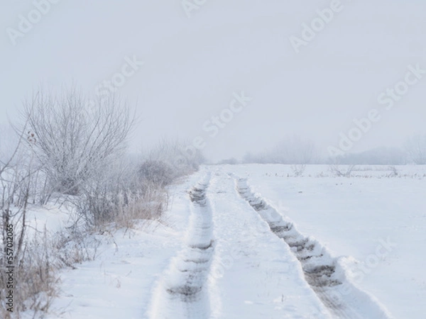 Obraz winter road in the snow