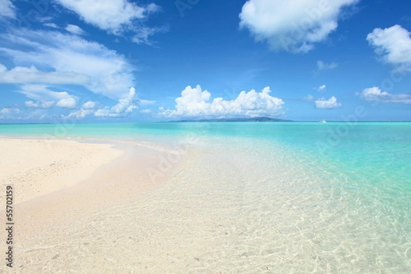 Fototapeta 南国の海