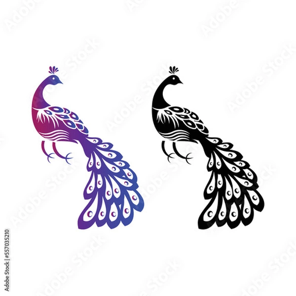Obraz Peacocks Vector Design Couple birds