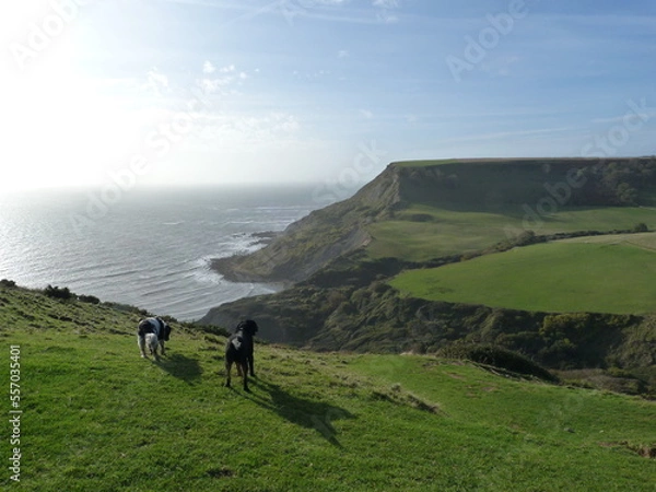 Obraz Chapman's Pool, Angleterre