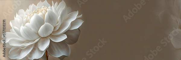 Fototapeta white lotus flower on a brown background, generative ai banner with white blooming petals