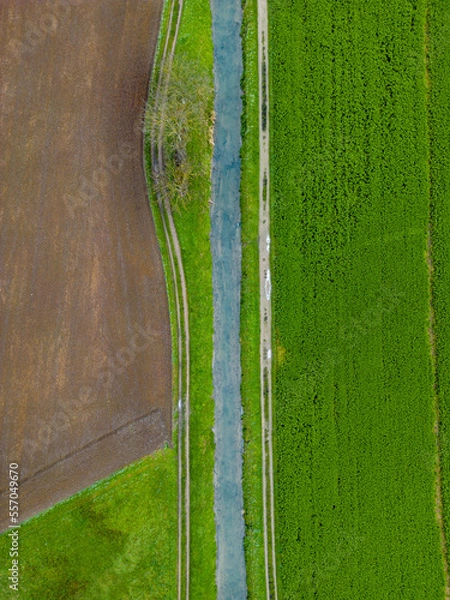Obraz Aerial view of stream running between fields