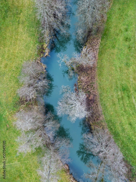 Obraz Top down view on stream with freezing trees in winter
