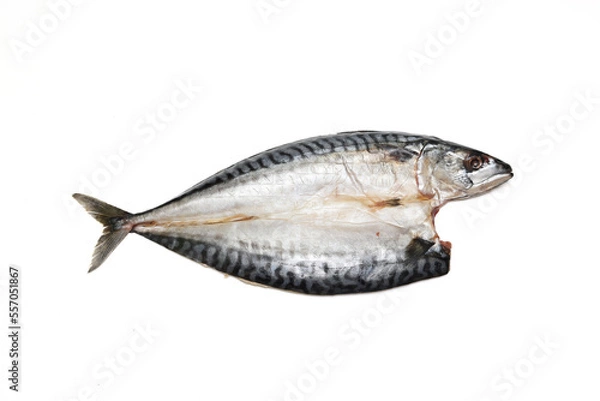 Fototapeta 白背景の鯖の開き