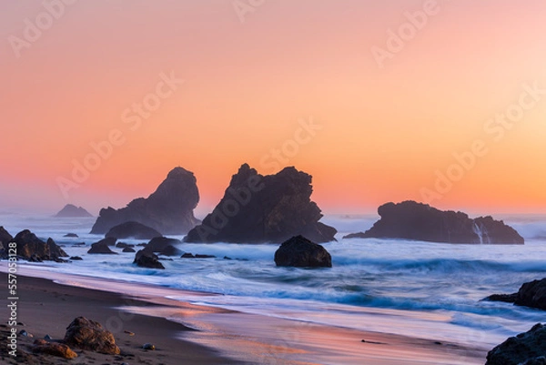 Obraz Pacific Coast, Sonoma County, California