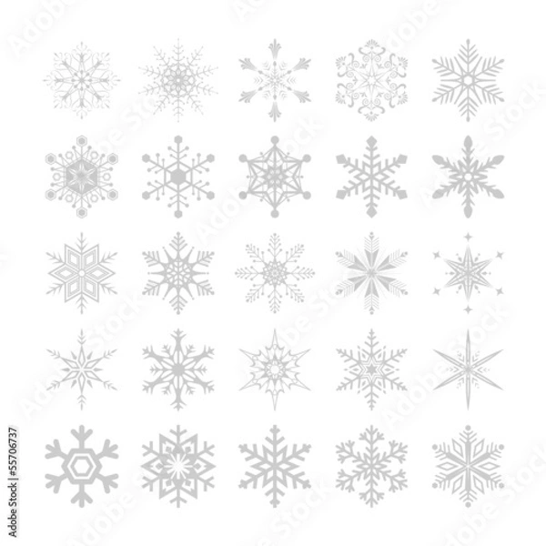 Fototapeta ライトグレーのスノーフレーク