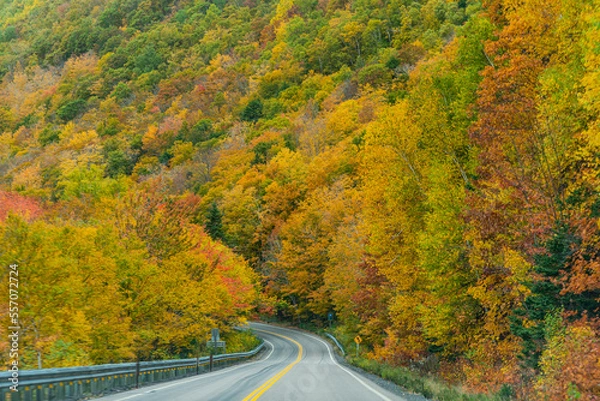 Fototapeta Autumn Colors in Forest, Drone view of Cape Breton Island, Forest Drone view, Colorful Trees in Jungle, Forest Drone View, Island Drone view, Autumn Colors in Jungle, Mountain Landscape Fall Colors