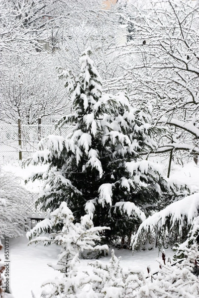 Obraz winter scene with snow and bird