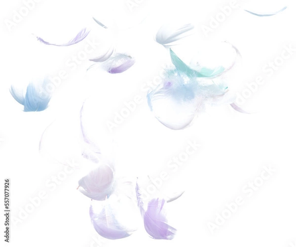 Fototapeta Many Pastel Feather fly fall in Air over white background isolated. Puffy Fluffy soft feathers as purity smooth like dream floating dove in sky. Angle flying from heaven, photo motion