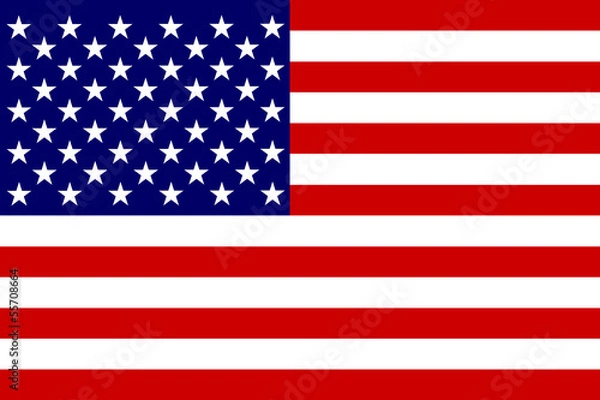 Obraz USA Flag