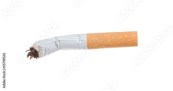Obraz Sigarette butt.
