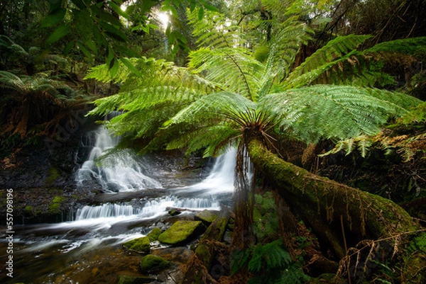 Fototapeta Horseshoe Falls