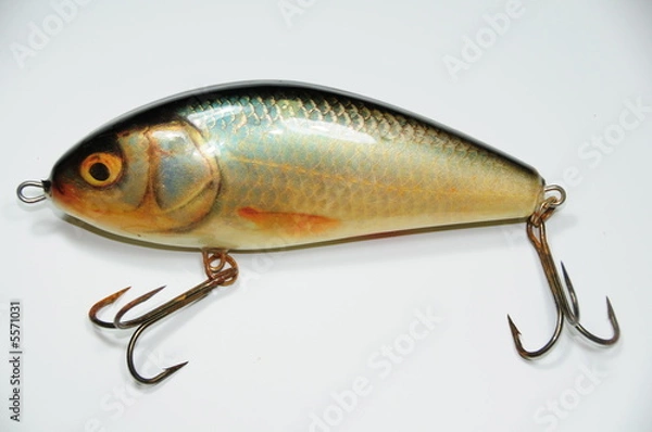 Fototapeta agelköder