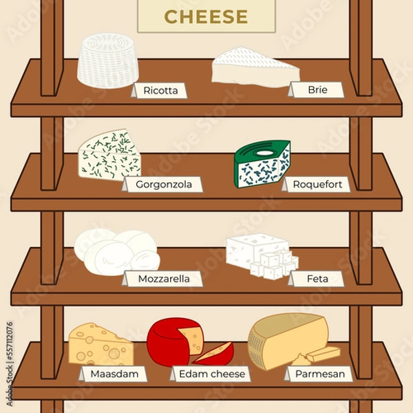 Fototapeta Various types of Cheese Vectore Collection