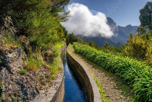 Fototapeta View from Levada do Norte on the portuguese island of Madeira. Spring in Madeira. Levada irrigation canal. Hiking in Madeira. 