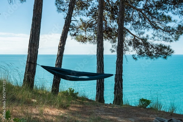 Obraz Empty hammock between palm trees on tropical beach. High quality photo