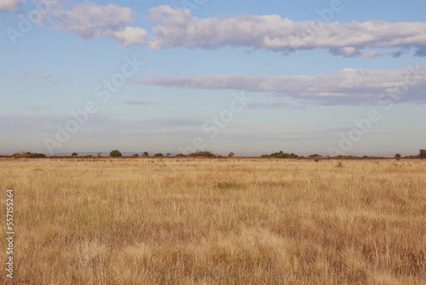 Fototapeta clouds over the field