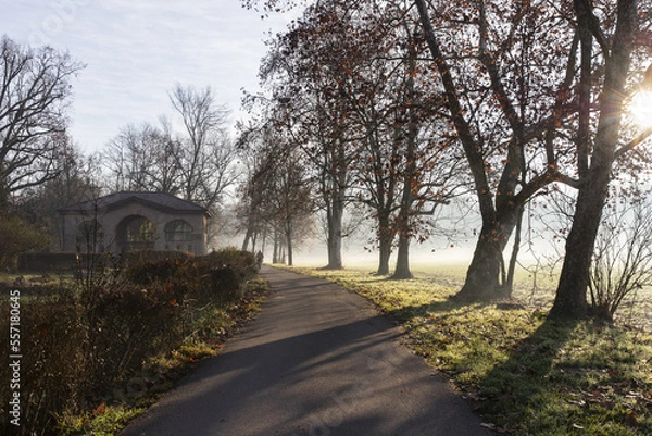 Obraz Mattina invernale nel parco di Monza (27-12-2022)