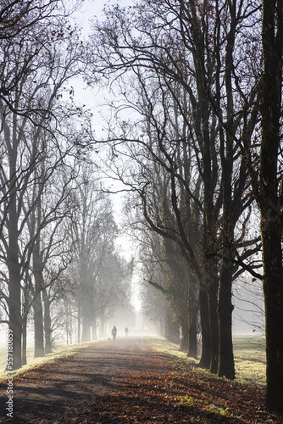 Obraz Mattina invernale nel parco di Monza (27-12-2022)