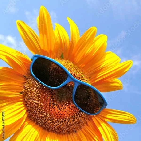 Obraz wunderschöne Sonnenblume mit Sonnenbrille
