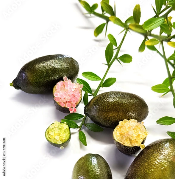 Fototapeta Edible fruits of Citrus australasica, the Australian finger lime or caviar lime. Whole limes on thorny branch and cut with vesicles partially extracted. Objects on white
