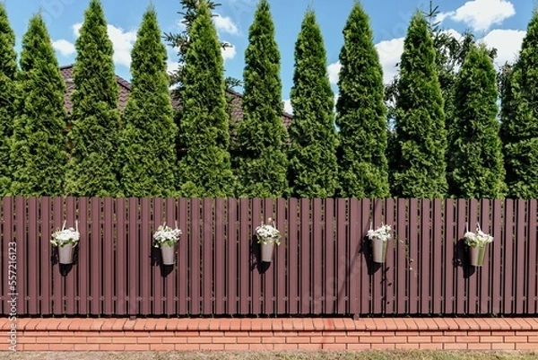 Fototapeta udekorowany płot