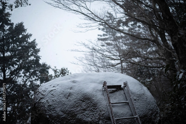 Fototapeta landscape