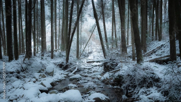 Fototapeta landscape