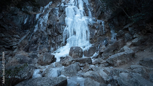 Fototapeta landscape