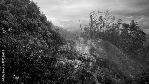 Fototapeta landscape