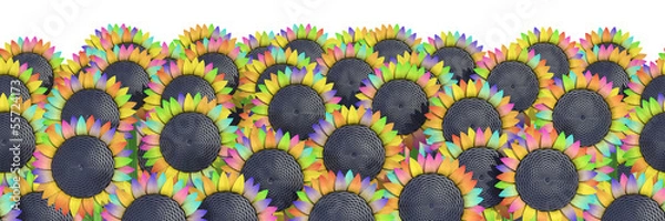 Obraz flowers on a white background