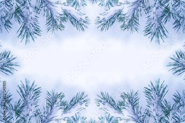 Fototapeta Snow covered fir branch on a winter background.