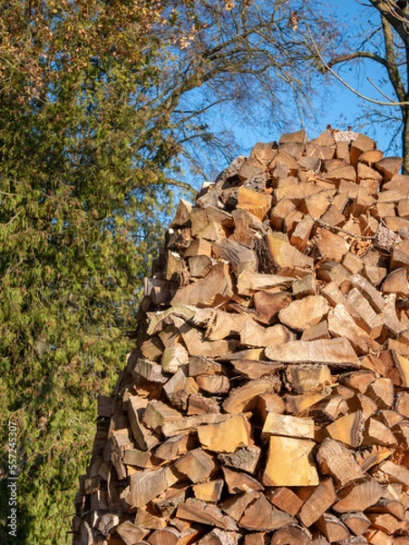 Obraz stack of firewood