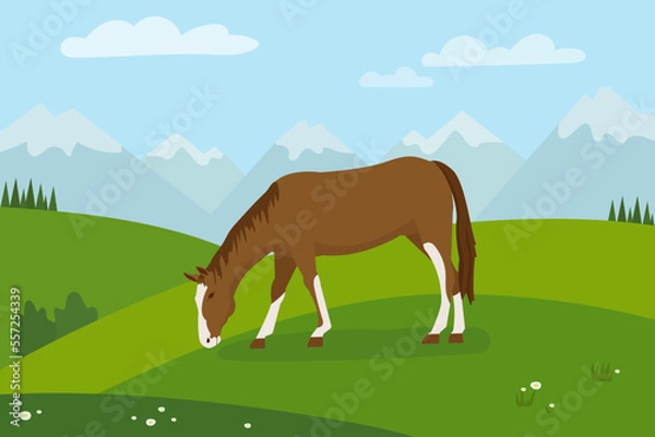 Fototapeta Rural landscape with grazing horse horse with green meadows in background. Background with mountains and blue sky in the background. Flat design.