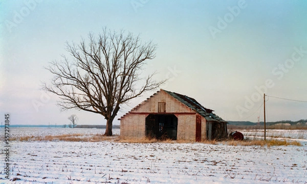 Fototapeta Warm Light On A Cold Day, A metal barn basked in the warm pastel light of the dusk sun in a snow covered plowed field next to a large bare tree. Missouri River bottoms near Wooldridge, Missouri 1993.