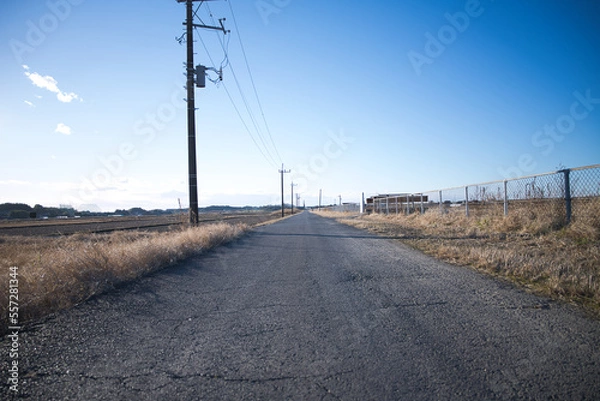 Obraz 青空の下に広がる田舎道