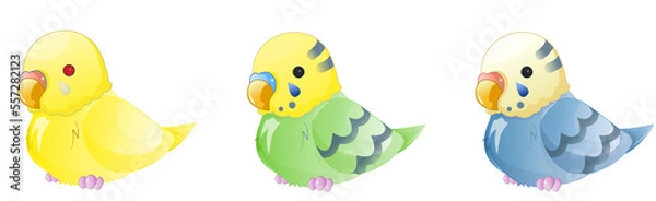 Obraz セキセイインコ