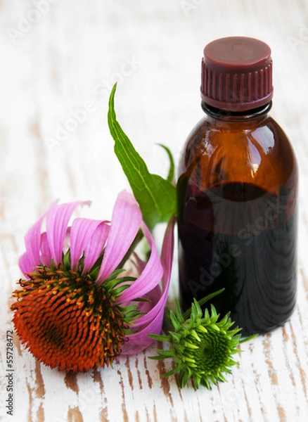 Obraz Herbal medicine