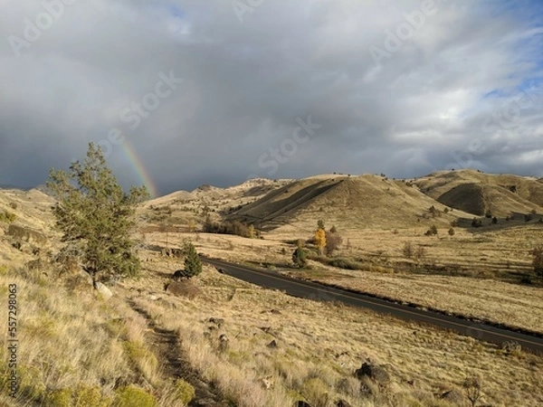 Fototapeta Desert Scene