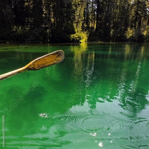 Fototapeta Paddle Ripples