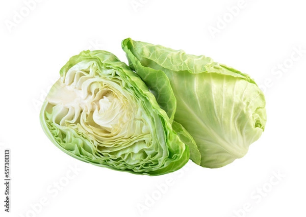 Obraz fresh green pointed cabbage isolated on white background