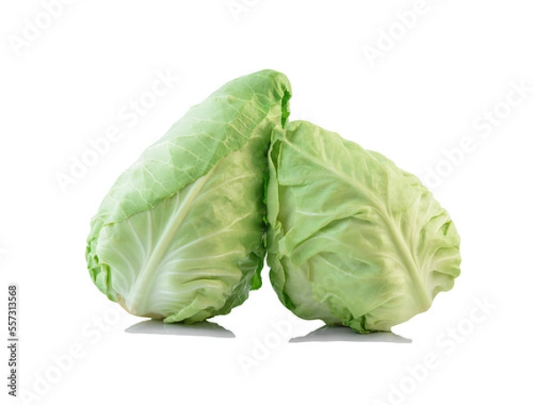 Obraz fresh green pointed cabbage isolated on white background