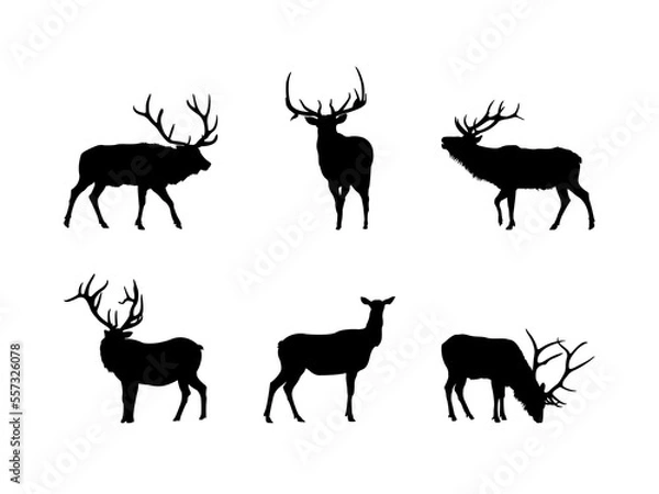 Obraz Elk Silhouette Collection