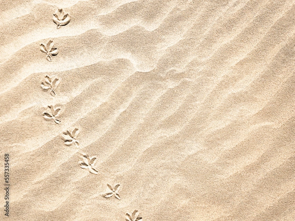 Fototapeta Sand. Texture, surface of sea sand. Bird tracks. Natural background. Waves of sand. Sea background. View from above. Dunes. Copy space