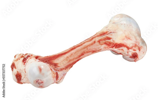 Obraz Fresh raw lamb leg isolated on white background. Fresh lamb meat isolated.
