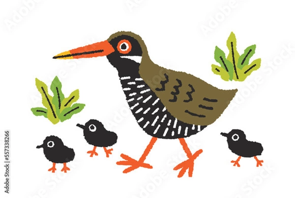 Obraz ヤンバルクイナ親子の手描きイラスト