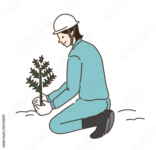 Fototapeta 林業　イラスト　植林　植樹