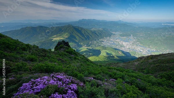 Fototapeta landscape